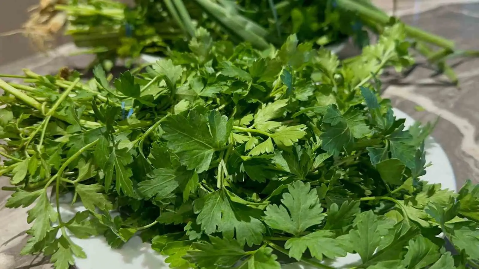 Havaların soğumasıyla grip vakalarında artış yaşanırken, düzenli ve sağlıklı beslenmek,