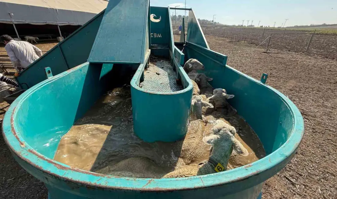 İnegöl Belediyesi, tarımı güçlendirmek ve üreticiyi desteklemek adına uyguladığı politikalarla