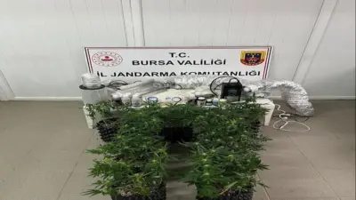 Bursa’nın İnegöl ilçesinde bir evde esrar üretiminde kullanılan bitkiler ve