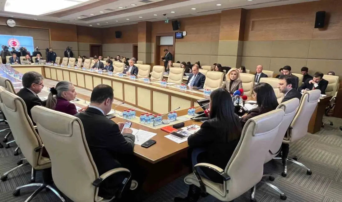 İstanbul İl Emniyet Müdürlüğü, TBMM Suça Sürüklenen Çocuklara İlişkin Araştırma