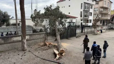 BURSA (İHA) – Bursa’nın İznik ilçesi Mustafakemalpaşa Mahallesi’nde etkili olan