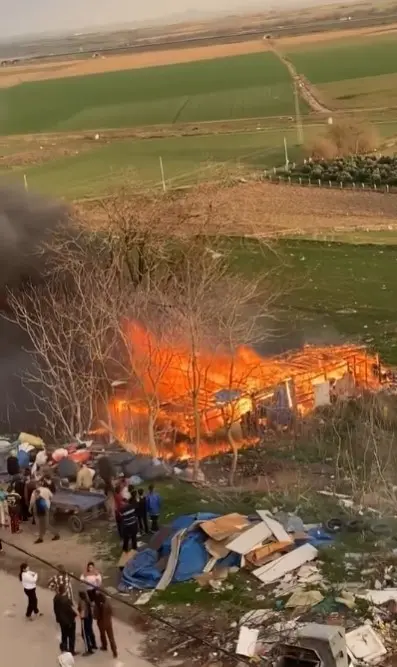Bursa’nın Karacabey ilçesinde alev alev yanan ağılda şans eseri hayvanlar