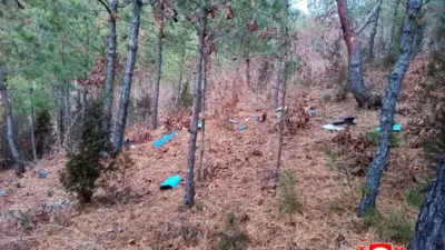 Kuzey Kore ordusu, Güney Kore tarafından gönderilen bir casus dronun