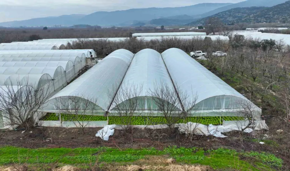Bursa Büyükşehir Belediyesi, afetlerden olumsuz etkilenen çiftçilere yönelik desteklerini sürdürüyor.
