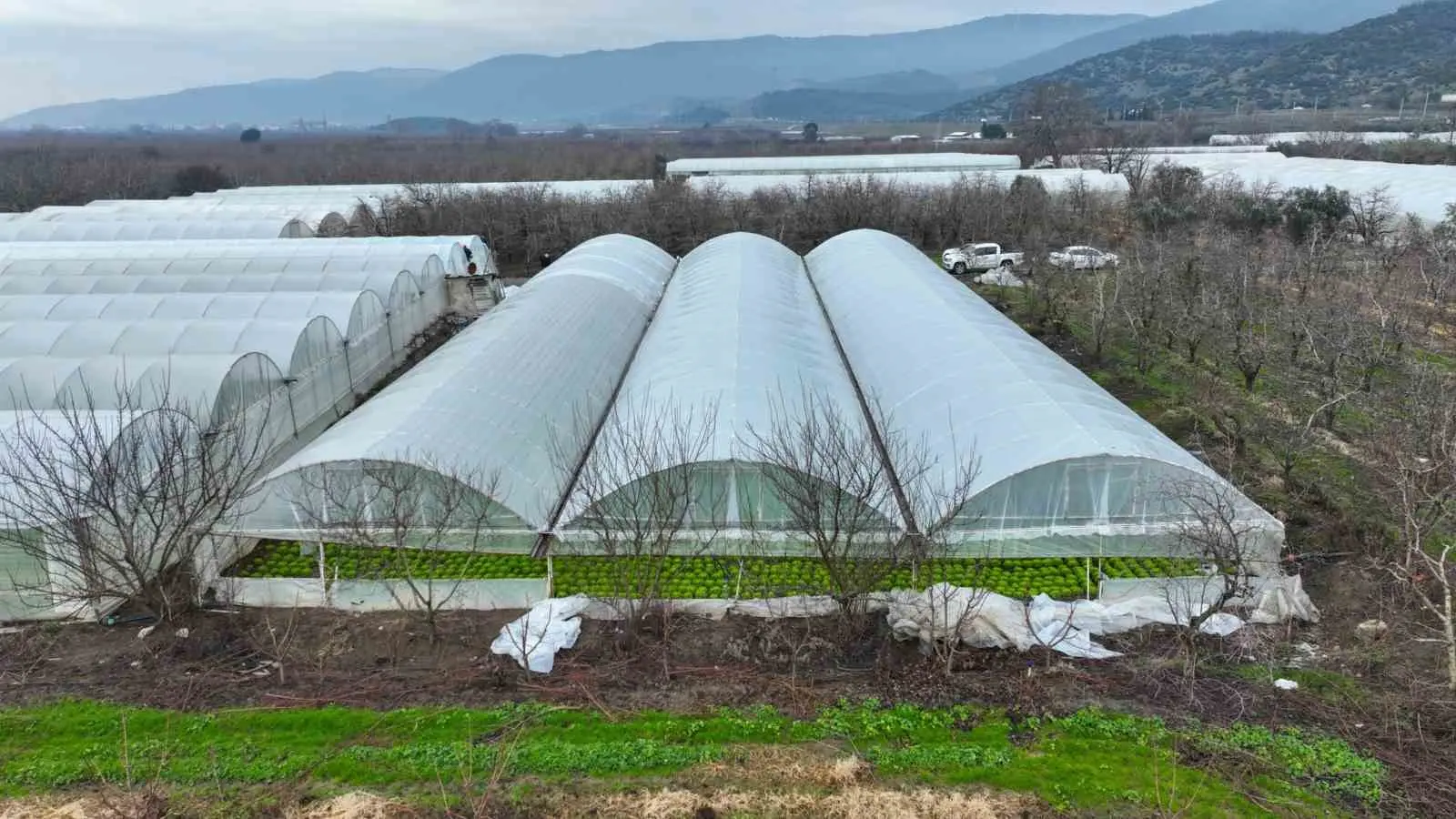 Bursa Büyükşehir Belediyesi, afetlerden olumsuz etkilenen çiftçilere yönelik desteklerini sürdürüyor.