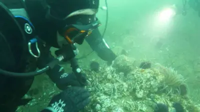 Onyedi Eylül Üniversitesi Denizcilik Fakültesi Öğretim Üyesi Prof. Dr. Mustafa