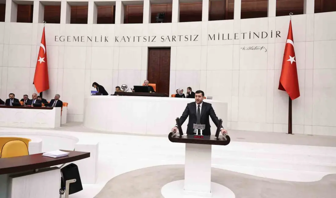 Milliyetçi Hareket Partisi (MHP) Kayseri Milletvekili Baki Ersoy, Türkiye Büyük