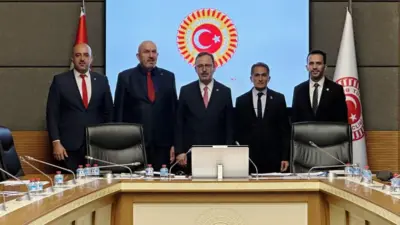 Türkiye Büyük Millet Meclisi (TBMM) Engelli Bireylerin Sorunlarını Araştırma Komisyonu