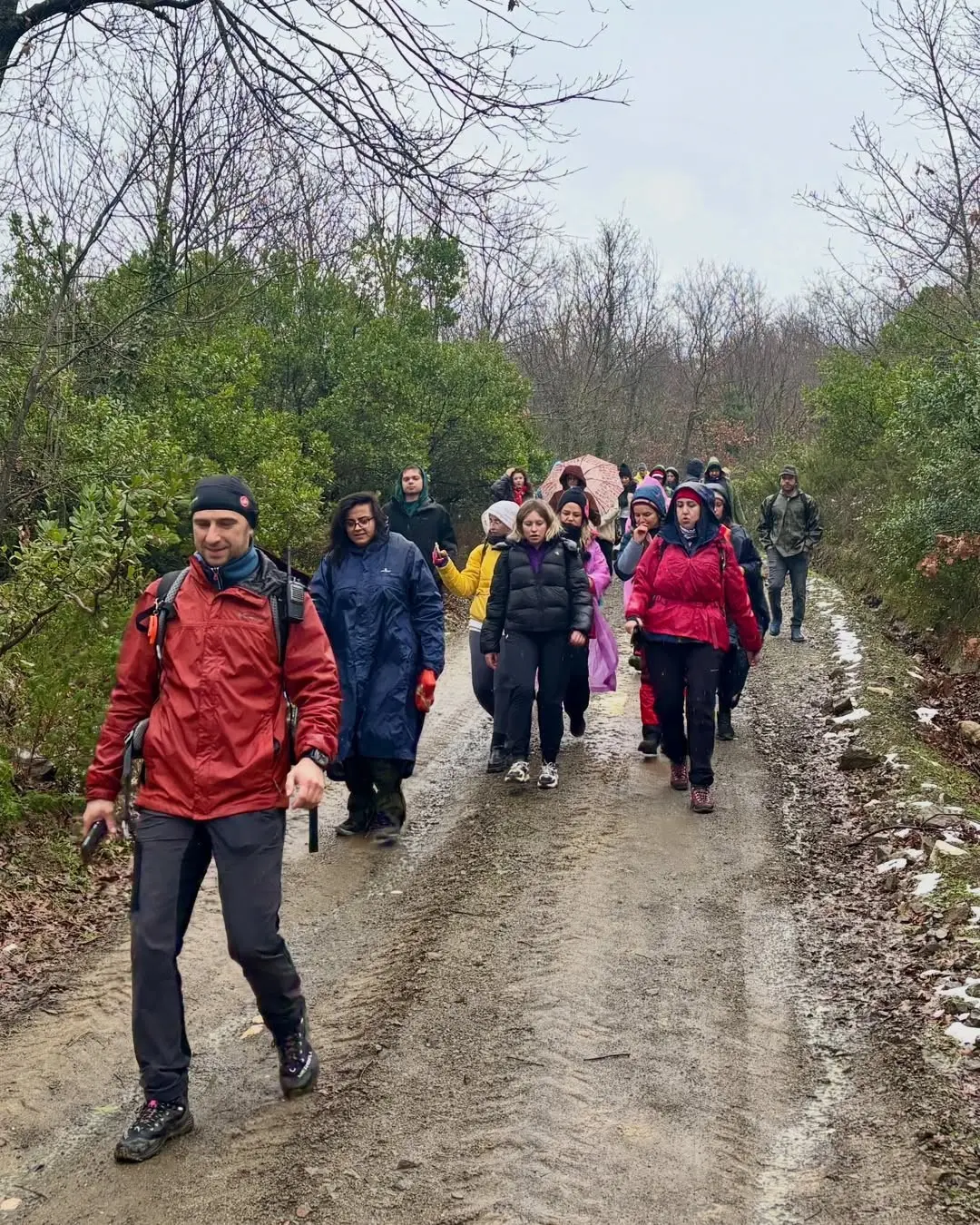 Nilüfer Belediyesi tarafından düzenlenen doğa yürüyüşünde sporseverler, Mysia Yolları’nda bir