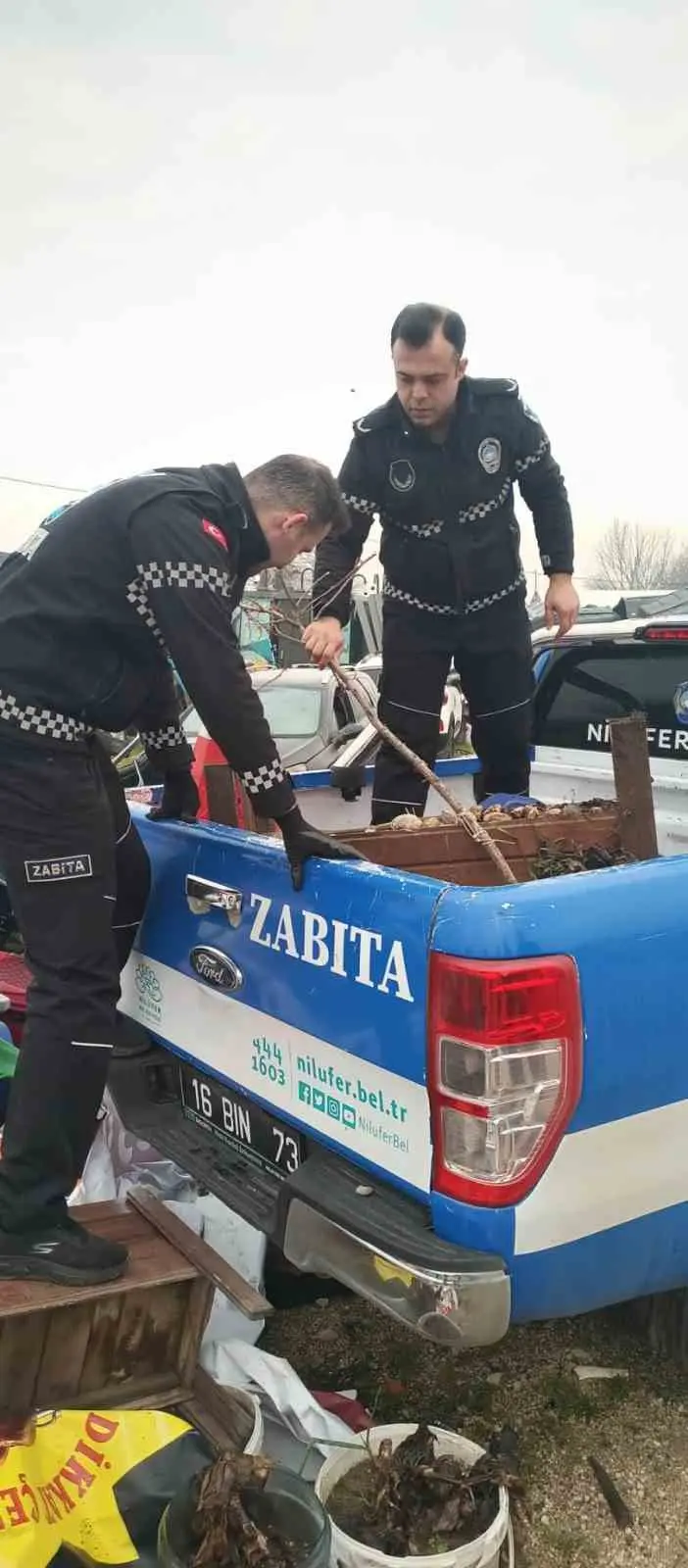 Nilüfer Belediyesi ekipleri; Esentepe ve Karaman mahalleleri ile Beşevler ve