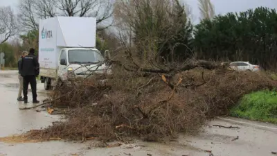 Osmangazi Belediyesi, Bursa’da sabah saatlerinden itibaren etkisini artıran lodos ve