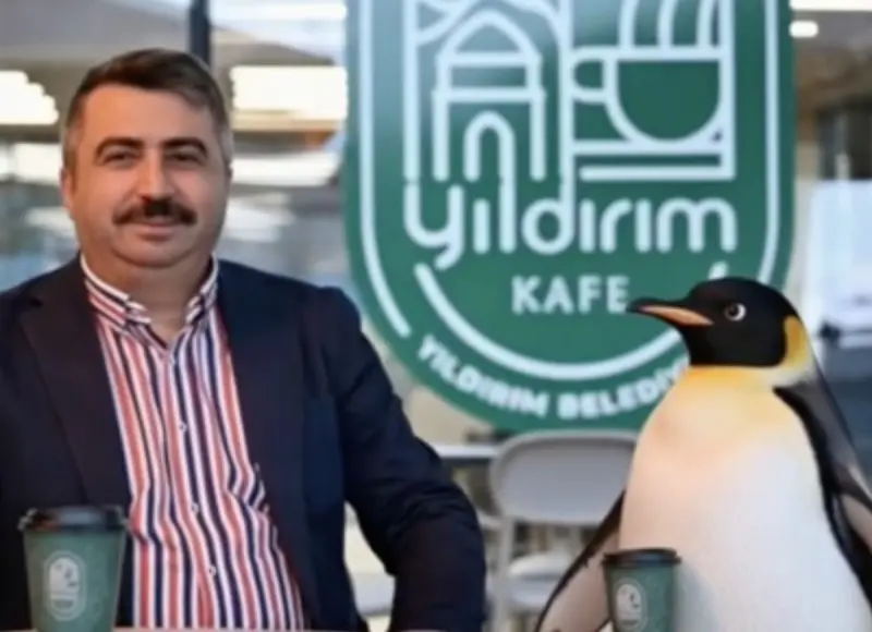 Yaklaşık 19 yıl önce bir belgeselde sürüden ayrılan penguen viral