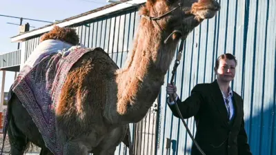 ABD ’de hayatini kaybeden sanatçı Mertcan Türkoğlu, son eseri olan