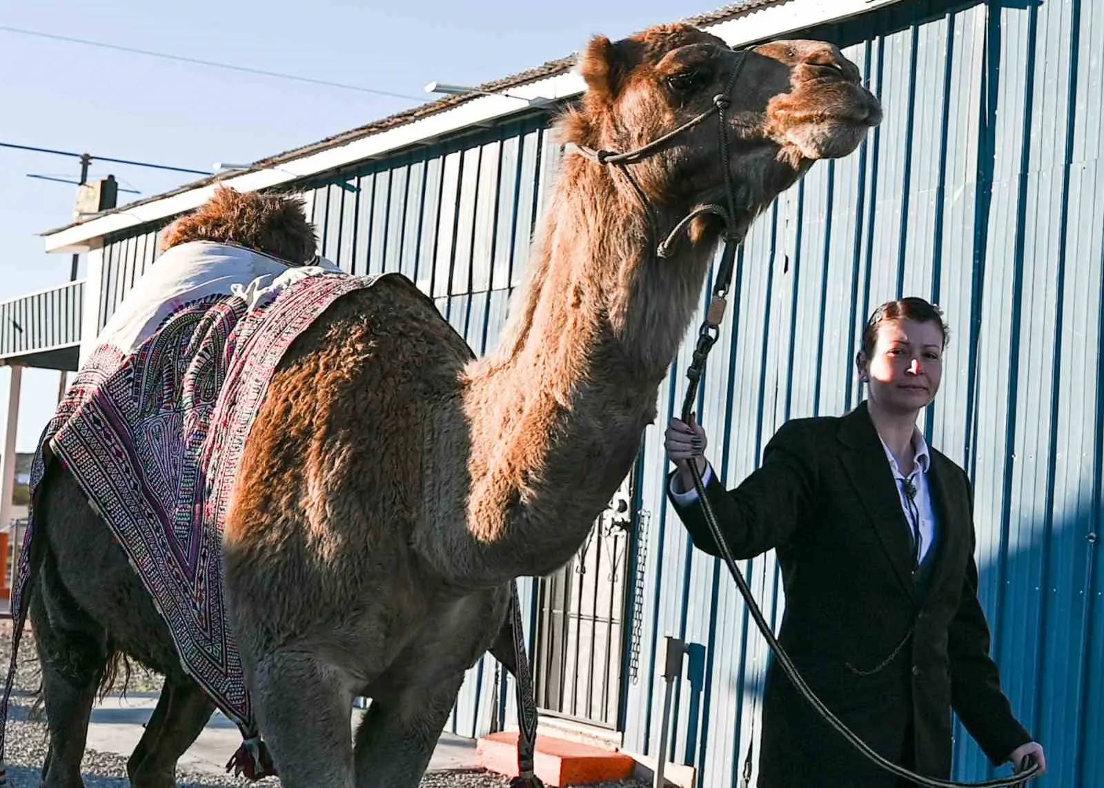 ABD ’de hayatini kaybeden sanatçı Mertcan Türkoğlu, son eseri olan