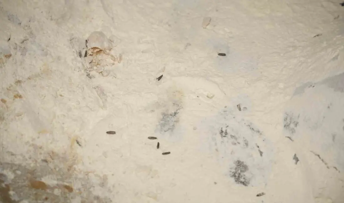 Yenişehir Belediyesi Zabıta Müdürlüğü ekipleri, Ramazan ayı öncesinde halk sağlığını