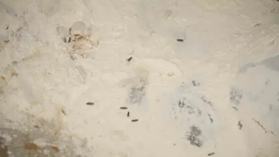 Yenişehir Belediyesi Zabıta Müdürlüğü ekipleri, Ramazan ayı öncesinde halk sağlığını