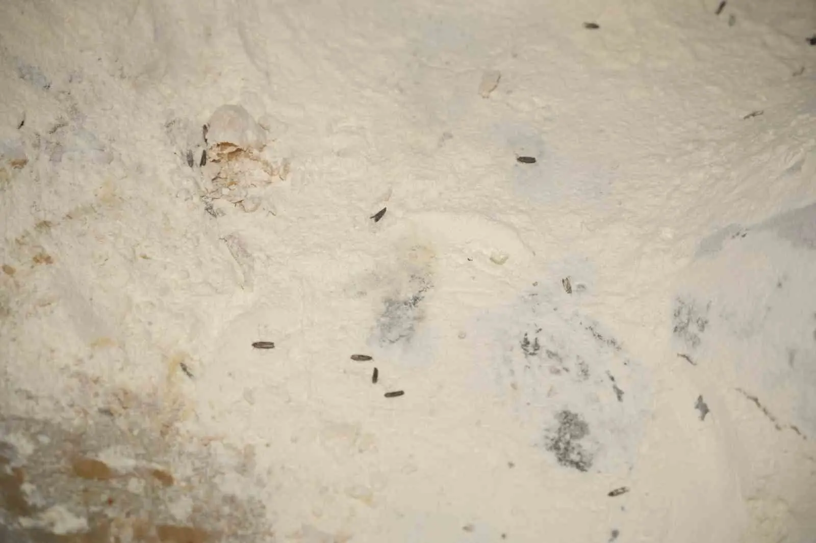 Yenişehir Belediyesi Zabıta Müdürlüğü ekipleri, Ramazan ayı öncesinde halk sağlığını