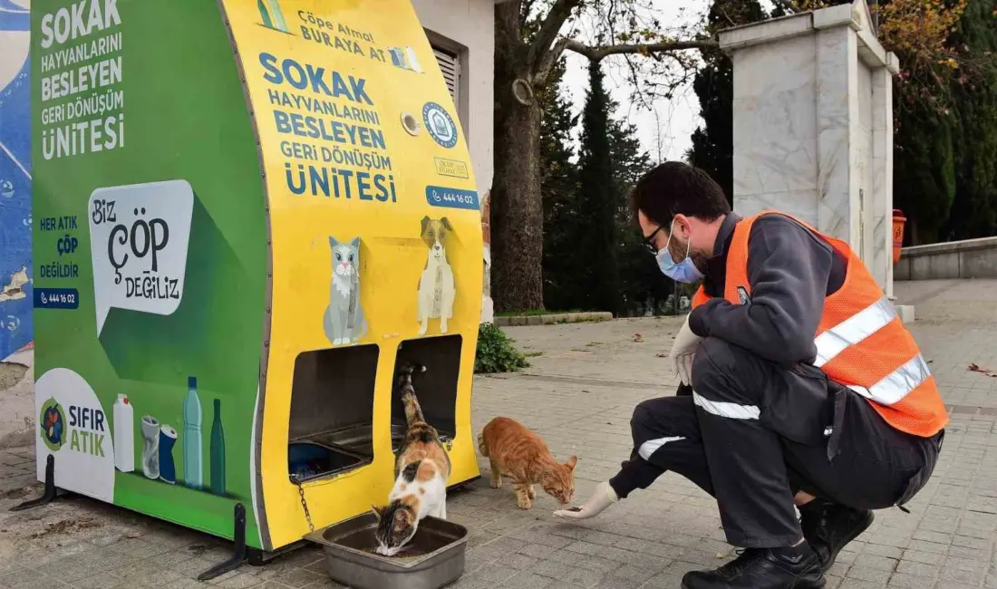 Yıldırım Belediyesi, havaların soğuması ile birlikte sokak hayvanlarına yönelik çalışmalarını