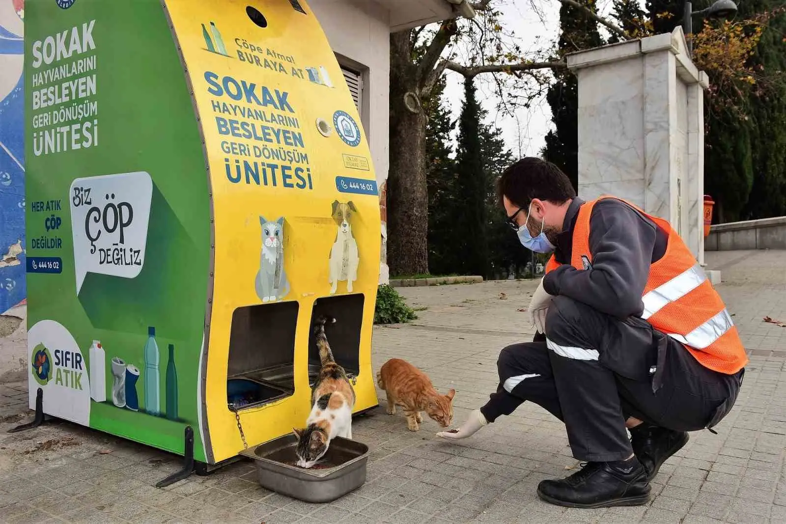 Yıldırım Belediyesi, havaların soğuması ile birlikte sokak hayvanlarına yönelik çalışmalarını
