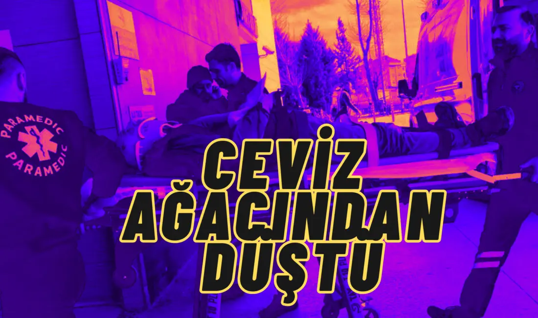 Bursa’nın İnegöl ilçesinde ceviz ağacından düşen yaşlı adam ağır yaralandı.