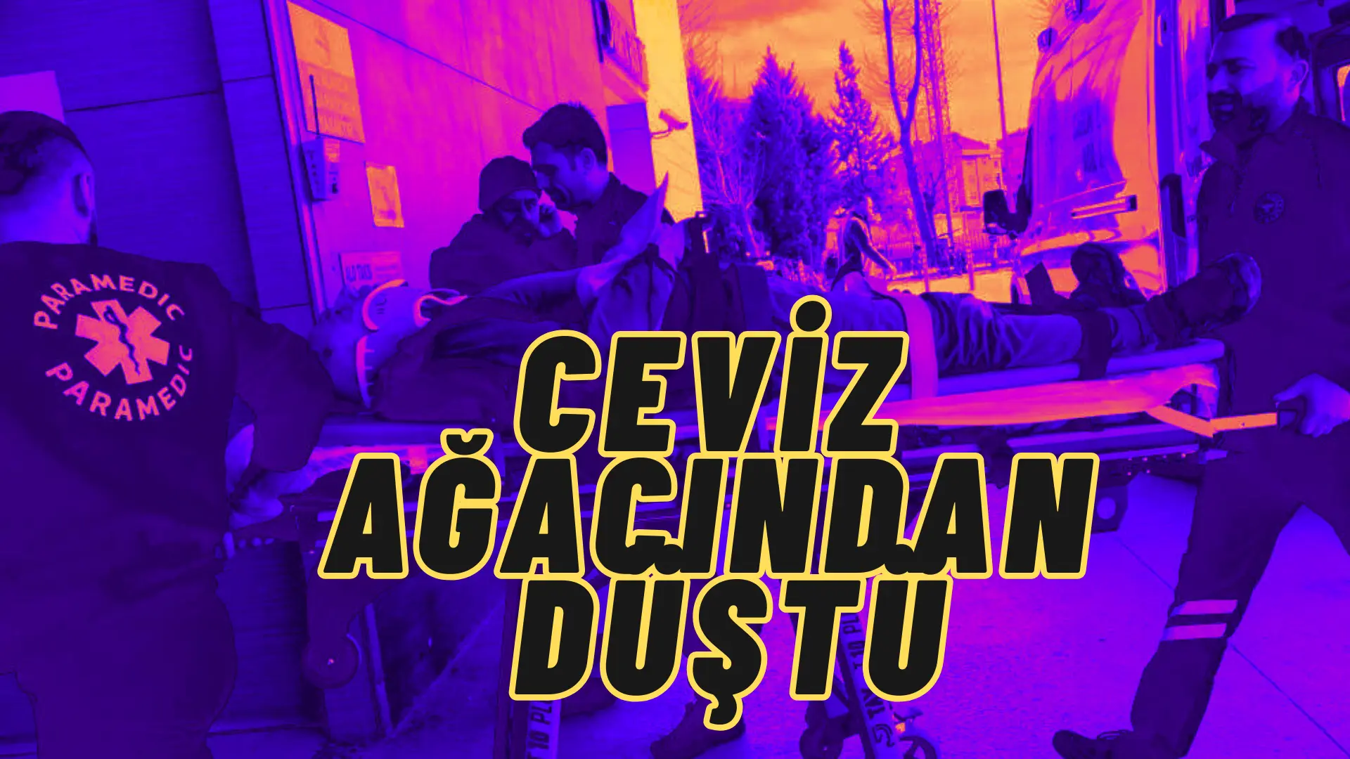 Bursa’nın İnegöl ilçesinde ceviz ağacından düşen yaşlı adam ağır yaralandı.