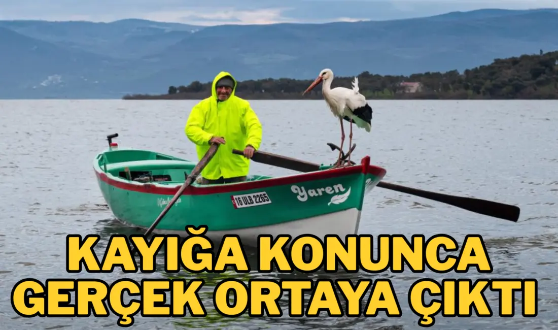 Türkiye’nin en özel dostluk hikayelerinden biri olan Yaren leylek ile