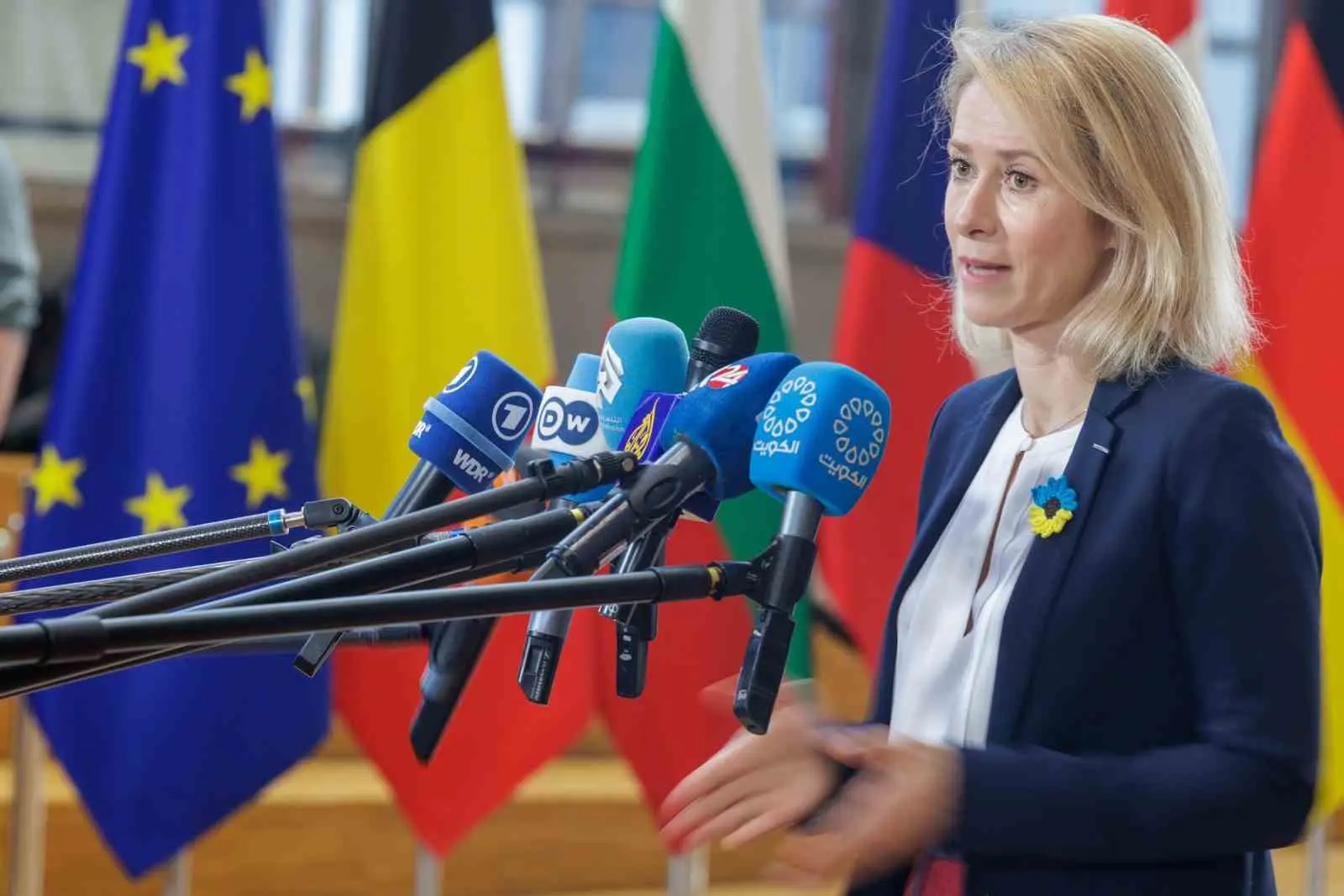 Avrupa Birliği (AB) Dış İlişkiler ve Güvenlik Politikaları Yüksek Temsilcisi