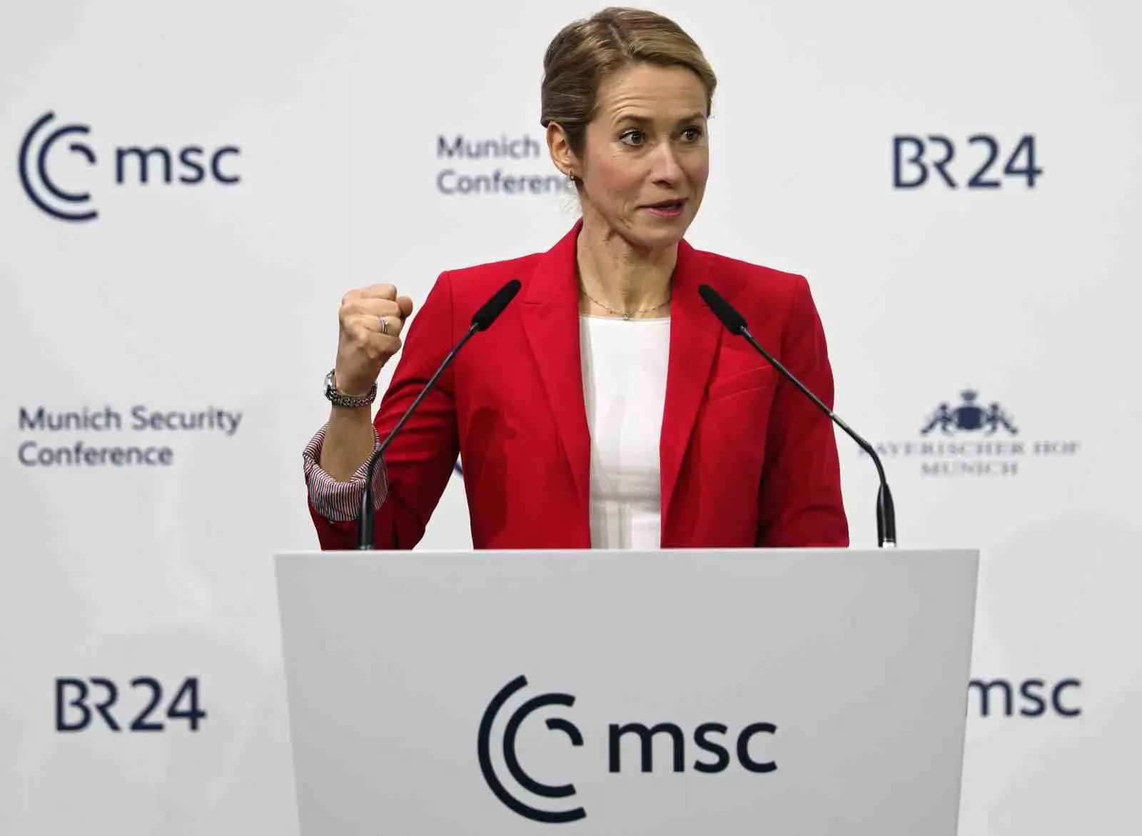 Avrupa Birliği (AB) Dış İlişkiler ve Güvenlik Politikaları Yüksek Temsilcisi