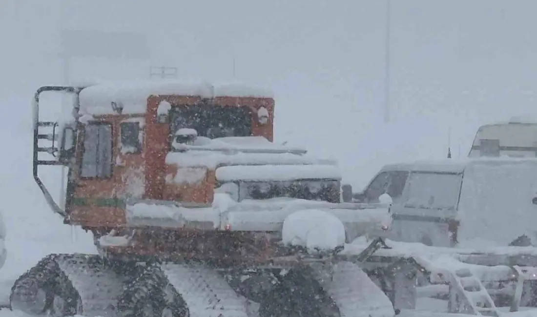 ABD’nin California eyaletindeki Castle Peak Dağı’nda meydana gelen çığ felaketinde