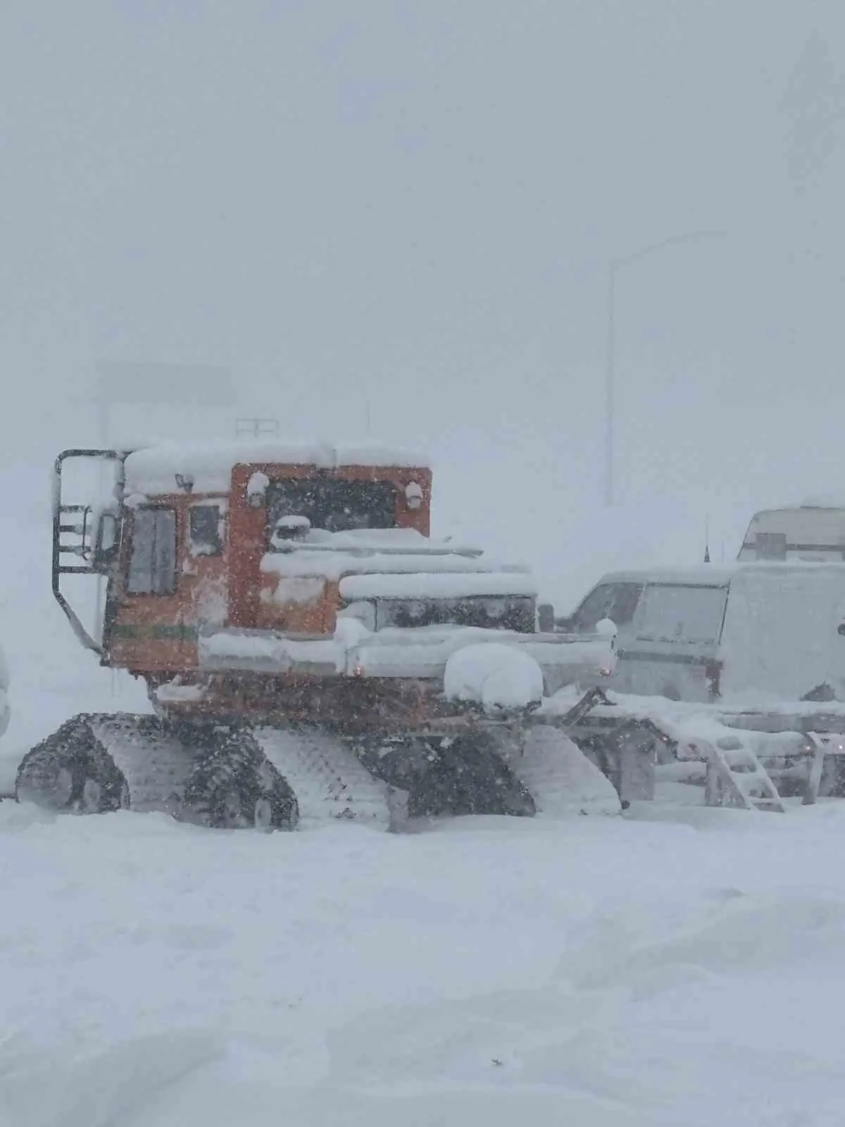 ABD’nin California eyaletindeki Castle Peak Dağı’nda meydana gelen çığ felaketinde