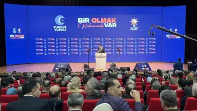 AK Parti İstanbul İl Başkanı Abdullah Özdemir, “Pek çok ülke