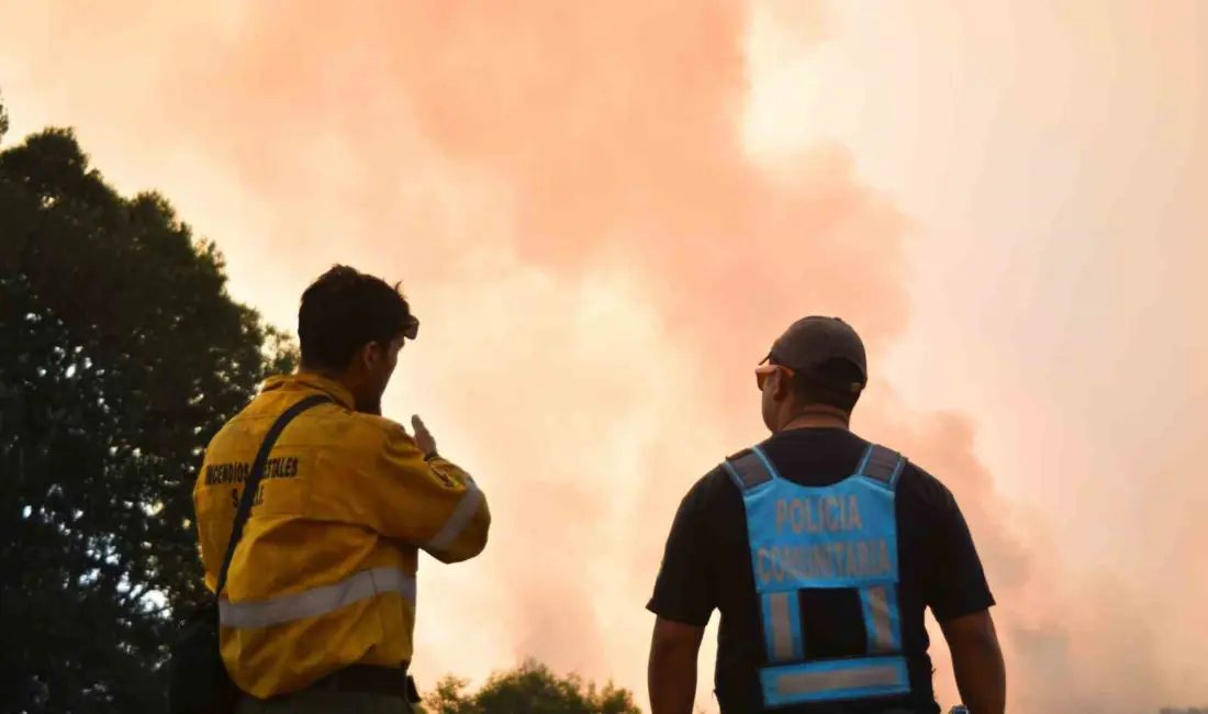 Arjantin’in Patagonya bölgesindeki Chubut eyaletinde devam eden orman yangınlarında şu