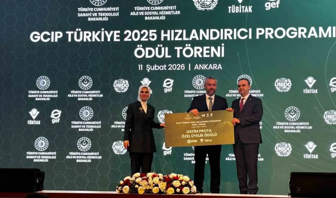 Aile ve Sosyal Hizmetler Bakanı Mahinur Özdemir Göktaş, “Oyunları kapatmak,