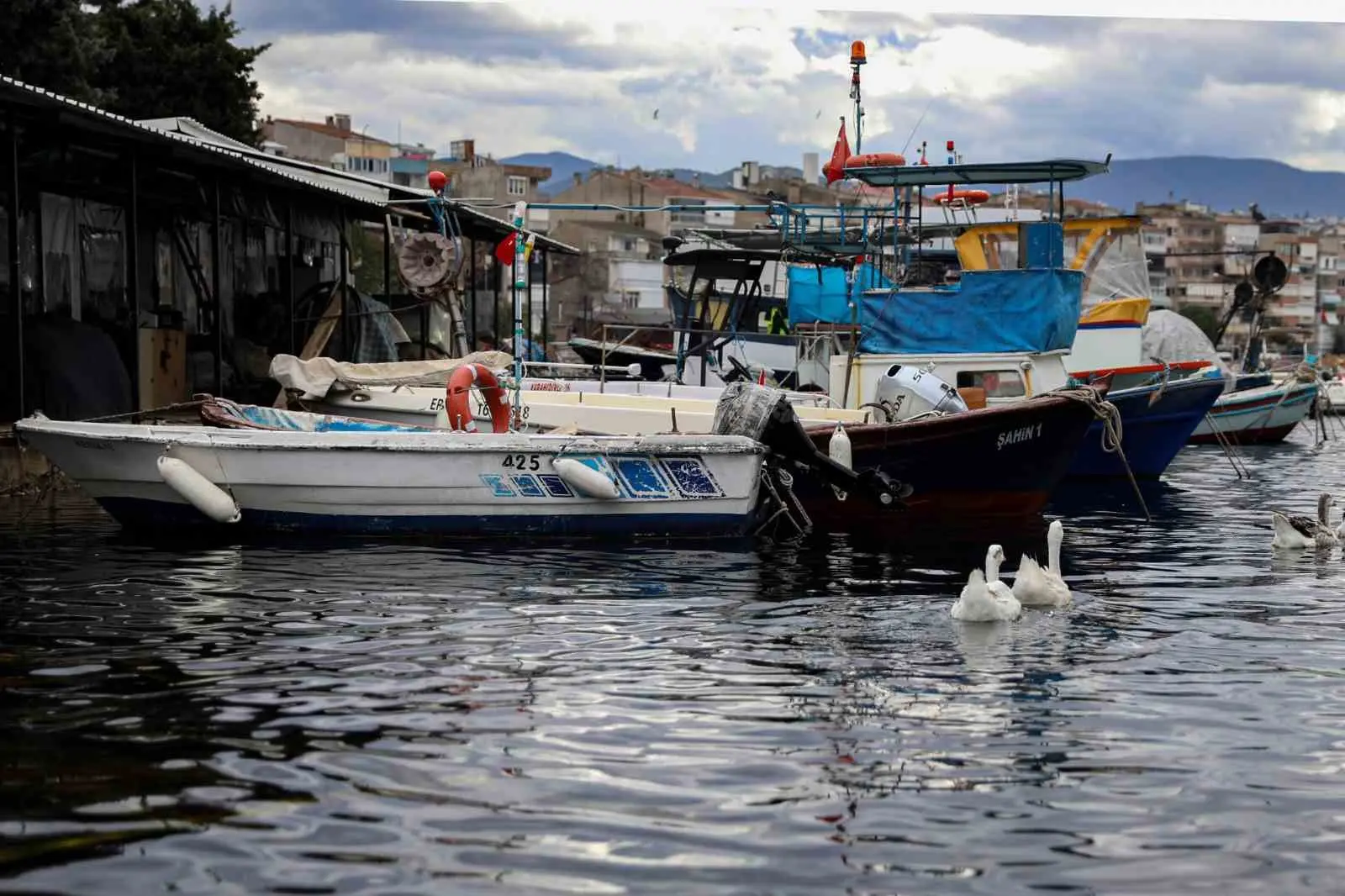 Bursa Büyükşehir Belediyesi’nin tarımsal üretimi desteklemek ve artan girdi maliyetlerini