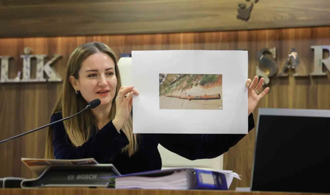 Antalya Büyükşehir Belediye Başkan Vekili Büşra Özdemir, Antalya Büyükşehir Belediyesi