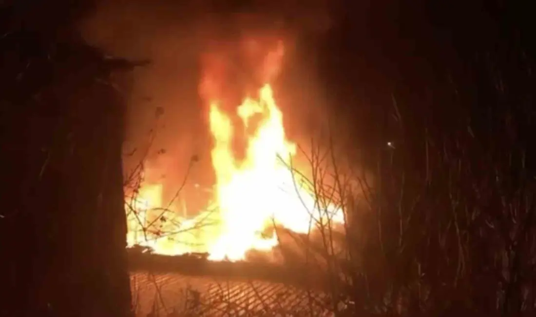 Bursa’nın İznik ilçesine bağlı Göllüce Mahallesi’nde çıkan yangında 2 katlı