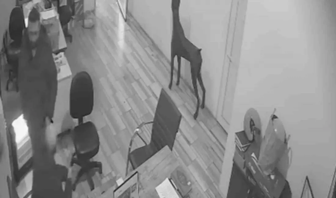 Bursa’da bir iş yerinde meydana gelen olayda, eline kolanya dökülen