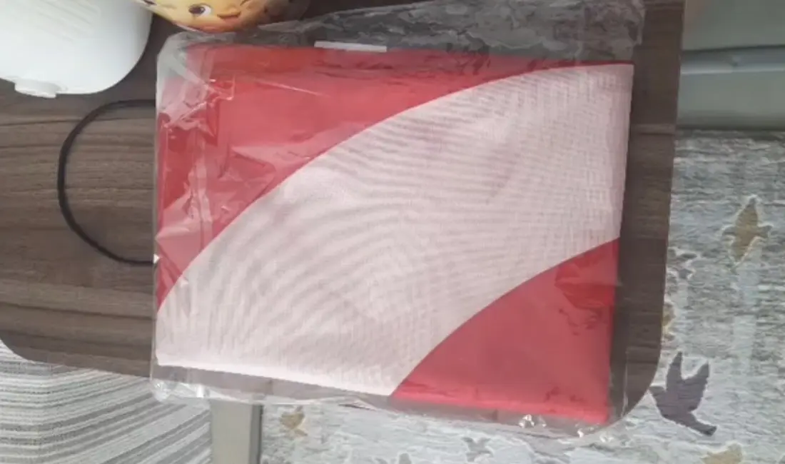 Bursa’da kuryenin bayrak hassasiyeti izleyenlerin tüylerini diken diken yaparken o