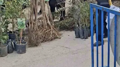 Bursa’nın İnegöl ilçesinde izinsiz seyyar satış yapan 2 kişi, kendilerini