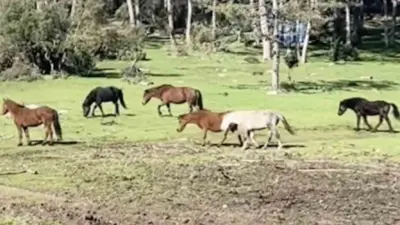Bursa’nın yüksek kesimlerinde doğa, bu kez kartpostallık bir manzaraya sahne