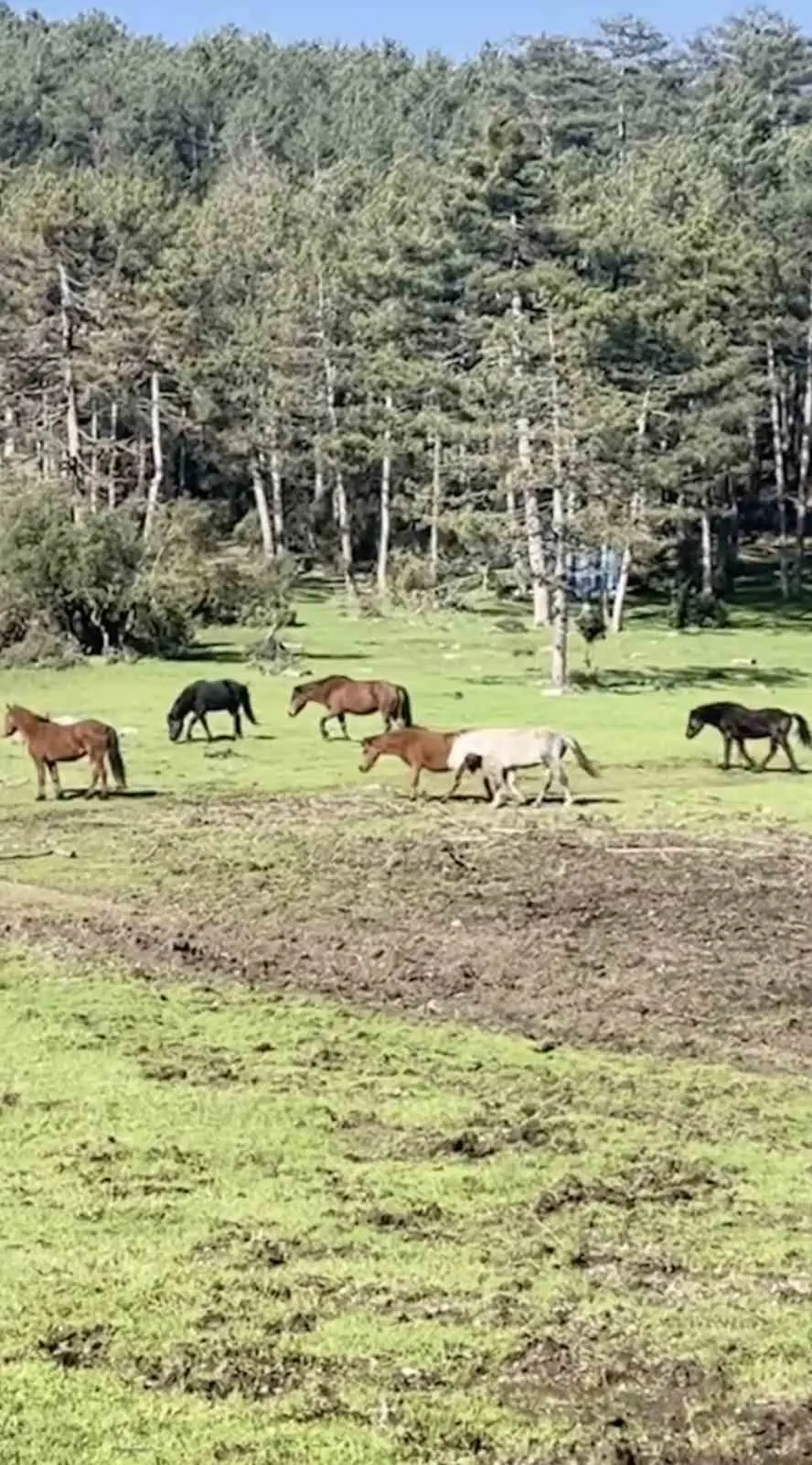 Bursa’nın yüksek kesimlerinde doğa, bu kez kartpostallık bir manzaraya sahne