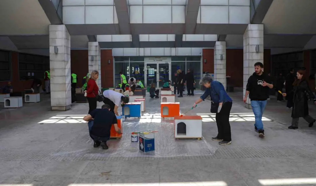 Bursa Büyükşehir Belediyesi, 17 Şubat Dünya Kediler Günü kapsamında düzenlediği