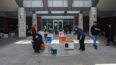 Bursa Büyükşehir Belediyesi, 17 Şubat Dünya Kediler Günü kapsamında düzenlediği