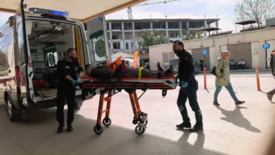 Bursa’nın İnegöl ilçesinde ceviz ağacından düşen yaşlı adam ağır yaralandı.