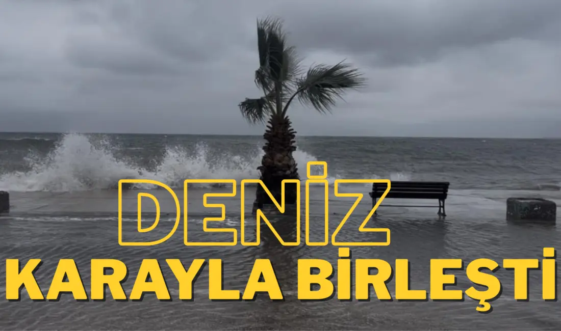 Bursa’nın Gemlik ilçesine bağlı Kurşunlu Mahallesi’nde sabah saatlerinde etkili olan