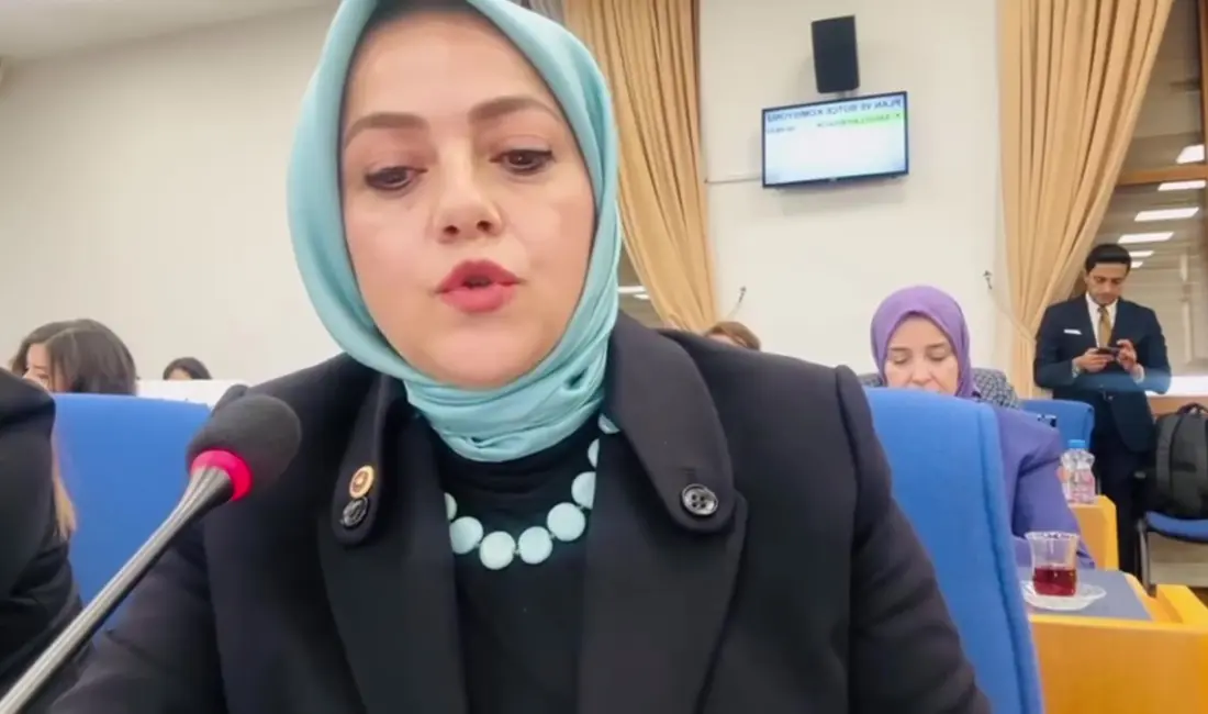 Gelecek Partisi Denizli Milletvekili Sema Silkün Ün, kayıp çocuklarla ilgili