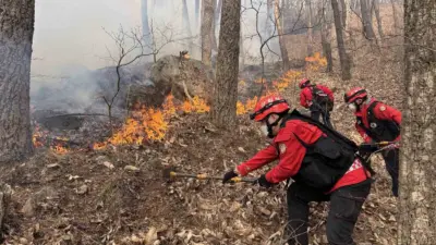 Güney Kore’nin Güney Gyeongsang eyaletindeki Hamyang bölgesinde Cumartesi başlayan orman