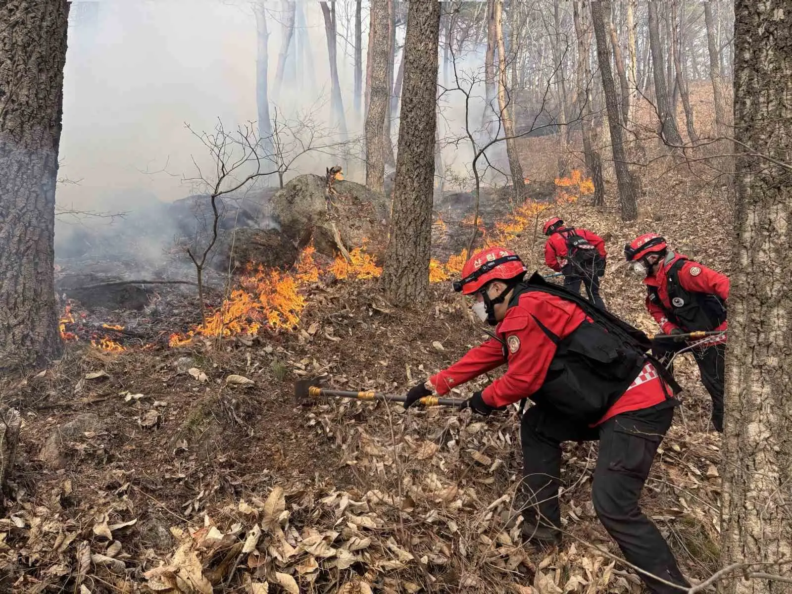 Güney Kore’nin Güney Gyeongsang eyaletindeki Hamyang bölgesinde Cumartesi başlayan orman