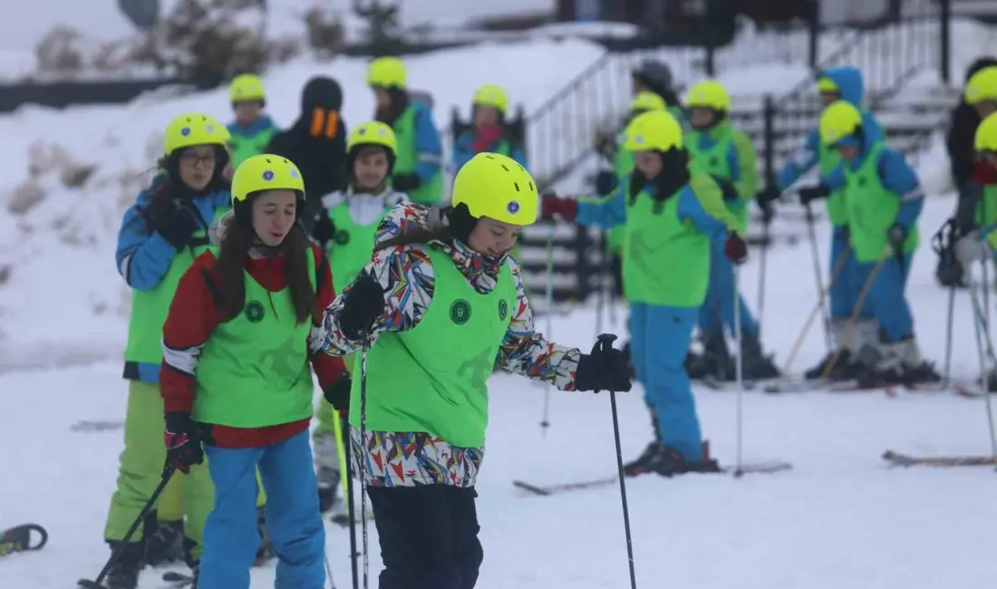 Bursa Büyükşehir Belediyesinin geçen yıl başlattığı ve büyük ilgi gören