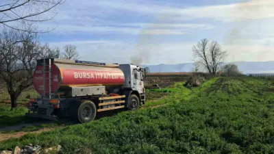 Bursa’nın İznik ilçesinde sazlık alanda çıkan ve rüzgarın etkisiyle büyüyen